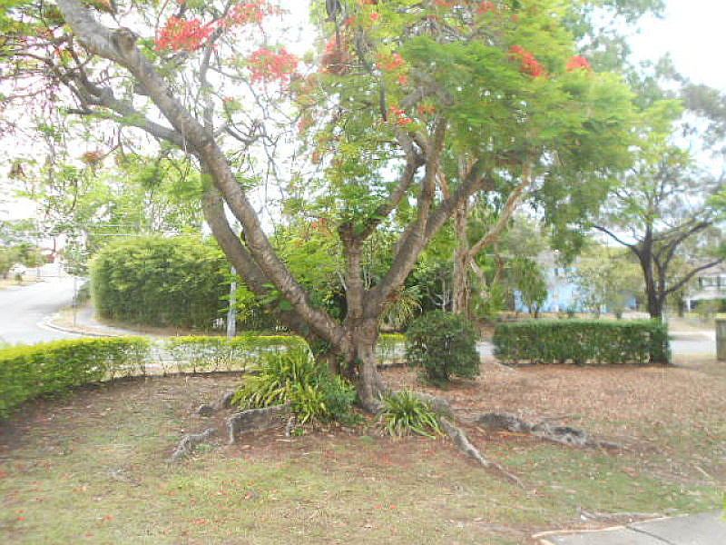 Cnr Cnr Blaxland Street & Lawson Street, Woodridge QLD photograph