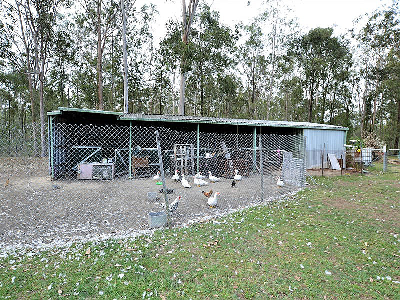 35 Violet Road, Greenbank QLD photograph