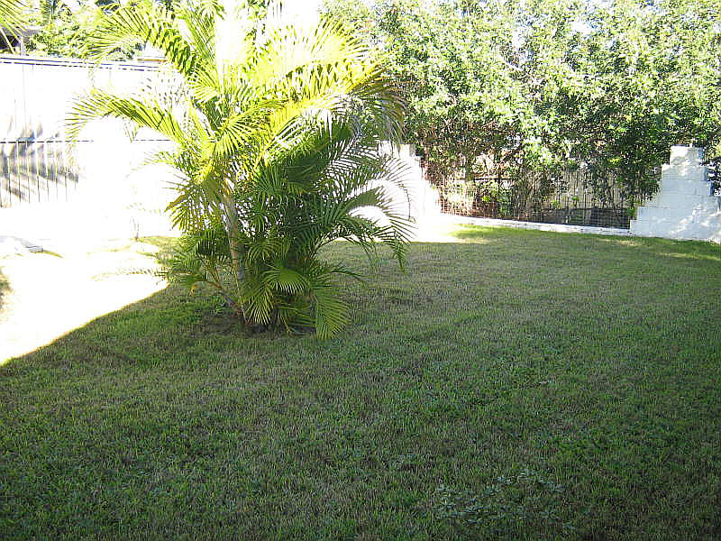 9 Lauretta Avenue, Springwood QLD photograph
