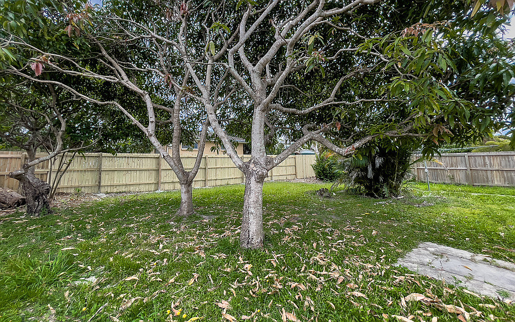 2/4 Garden Avenue, Woodridge QLD photograph