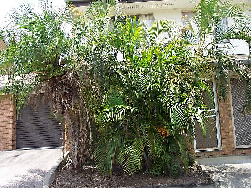 6/96 Smith, Woodridge QLD
