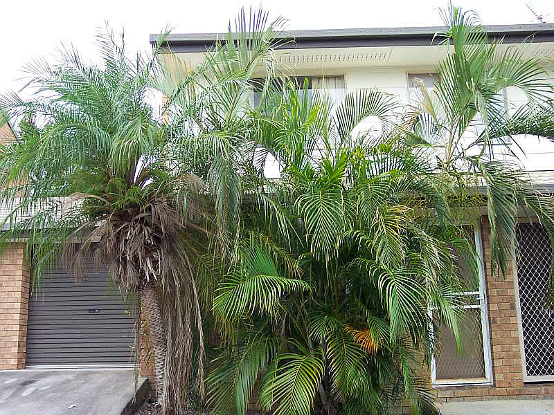 6/96 Smith, Woodridge QLD photograph