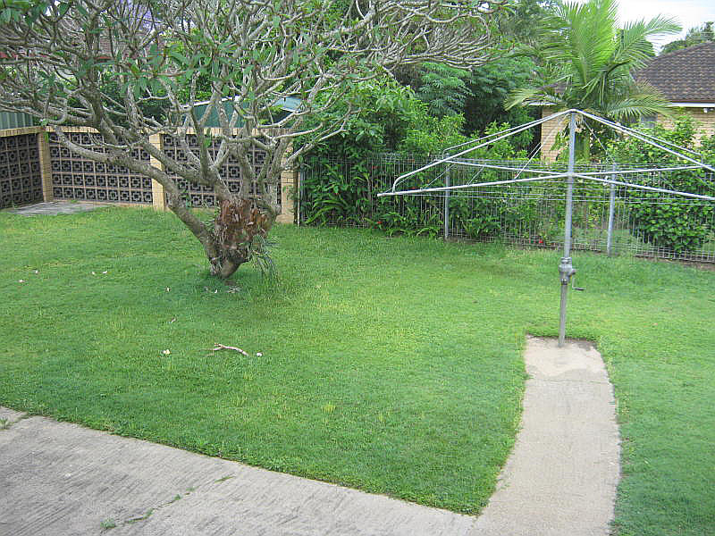 11 Renniks Street, Sunnybank QLD photograph